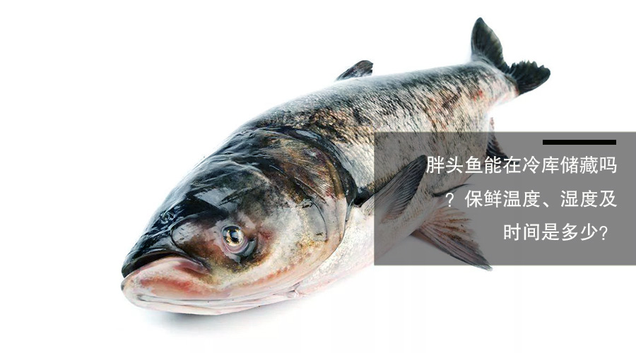 胖頭魚（鳙魚）冷庫儲藏溫度、相對濕度及貯藏時間介紹