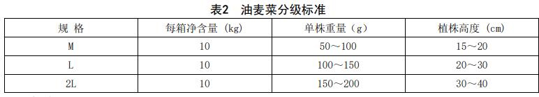 油麥菜分級標準