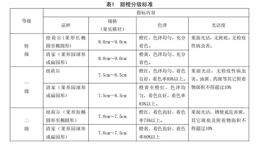 橙子分級標準