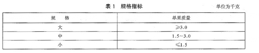 榴蓮規格劃分