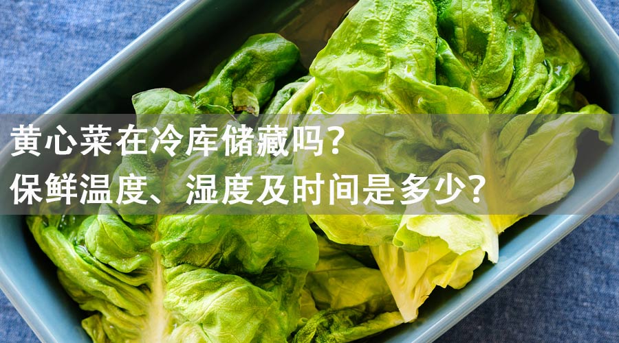 黃心菜能在冷庫儲(chǔ)藏嗎？保鮮溫度、濕度及時(shí)間是多少？