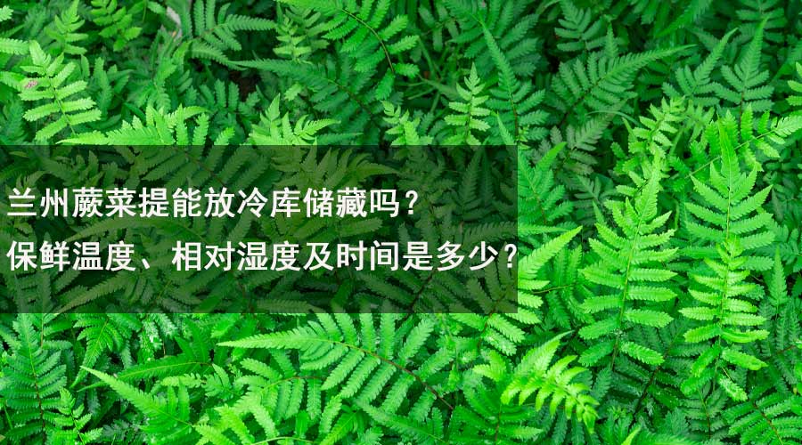 蘭州蕨菜提能放冷庫儲(chǔ)藏嗎？保鮮溫度、相對(duì)濕度及時(shí)間是多少？.jpg