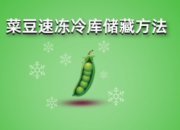 四季豆（菜豆）速凍冷庫儲藏方法詳解，保鮮時間1年不變質(zhì)！