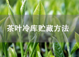 茶葉貯藏方法是什么？茶葉冷庫儲存介紹！