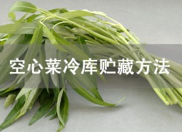 空心菜冷庫貯藏方法詳解！這樣貯藏可保鮮1個月！